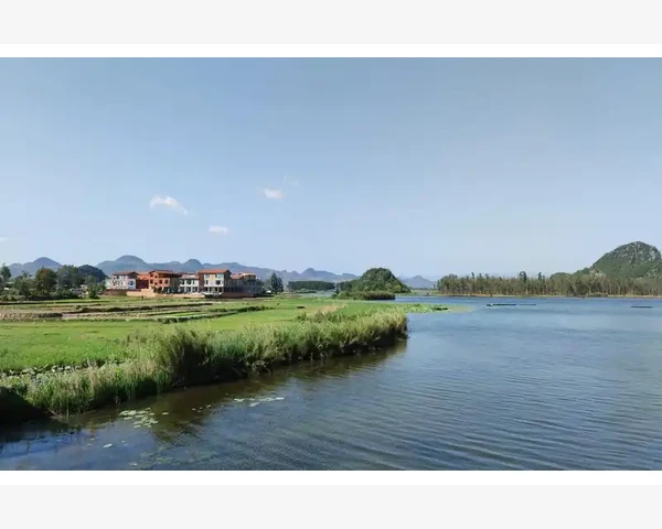 脾胃不好，是因为气血不足吗？