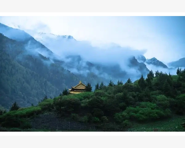 夏季进补养生夏天吃什么能够有效止咳化痰
