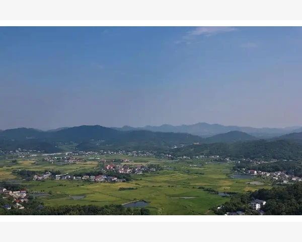 B2B跨境电商未来走向与生态重塑